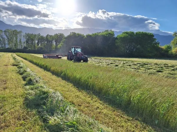 Καμπάνια ενίσχυσης τοπικών προϊόντων