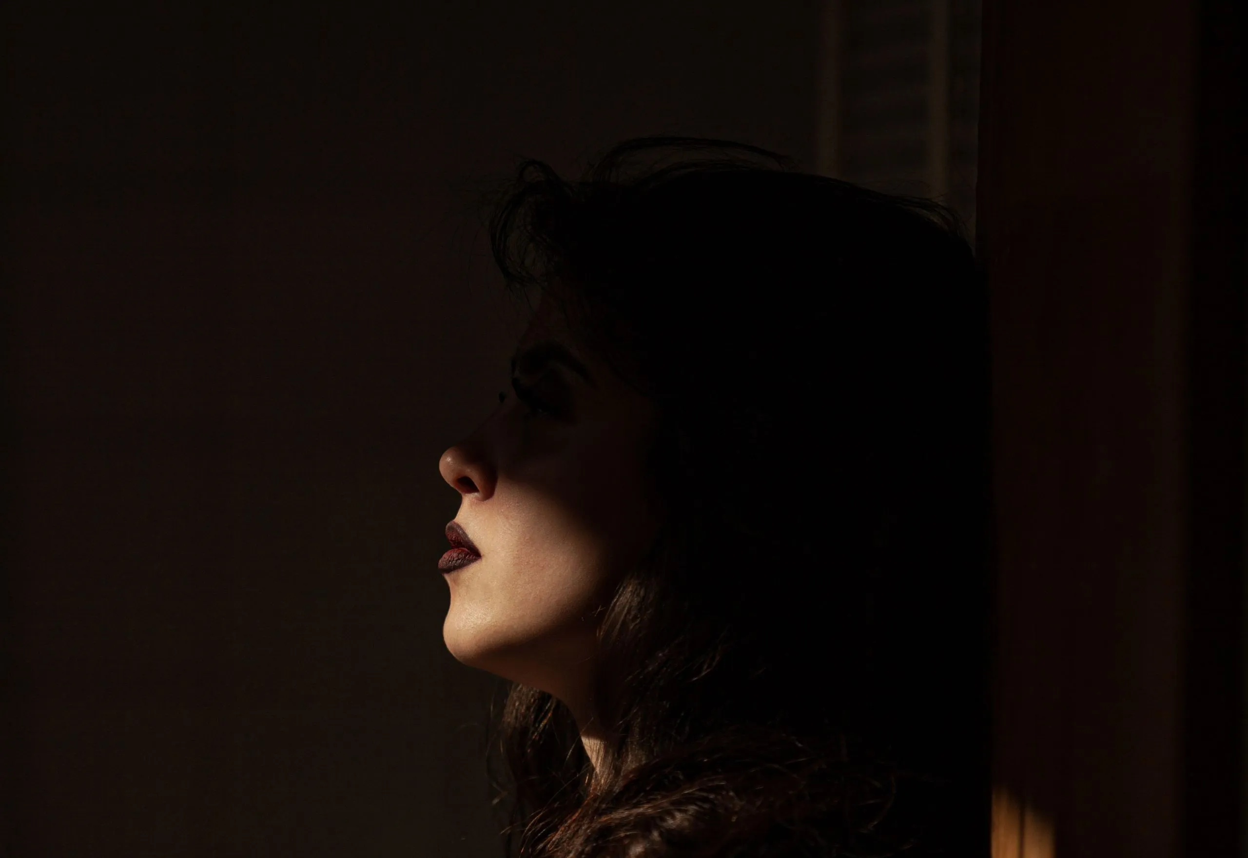 ΑΣΤΥΝΟΜΙΚΟΣ ΒΟΥΛΗ