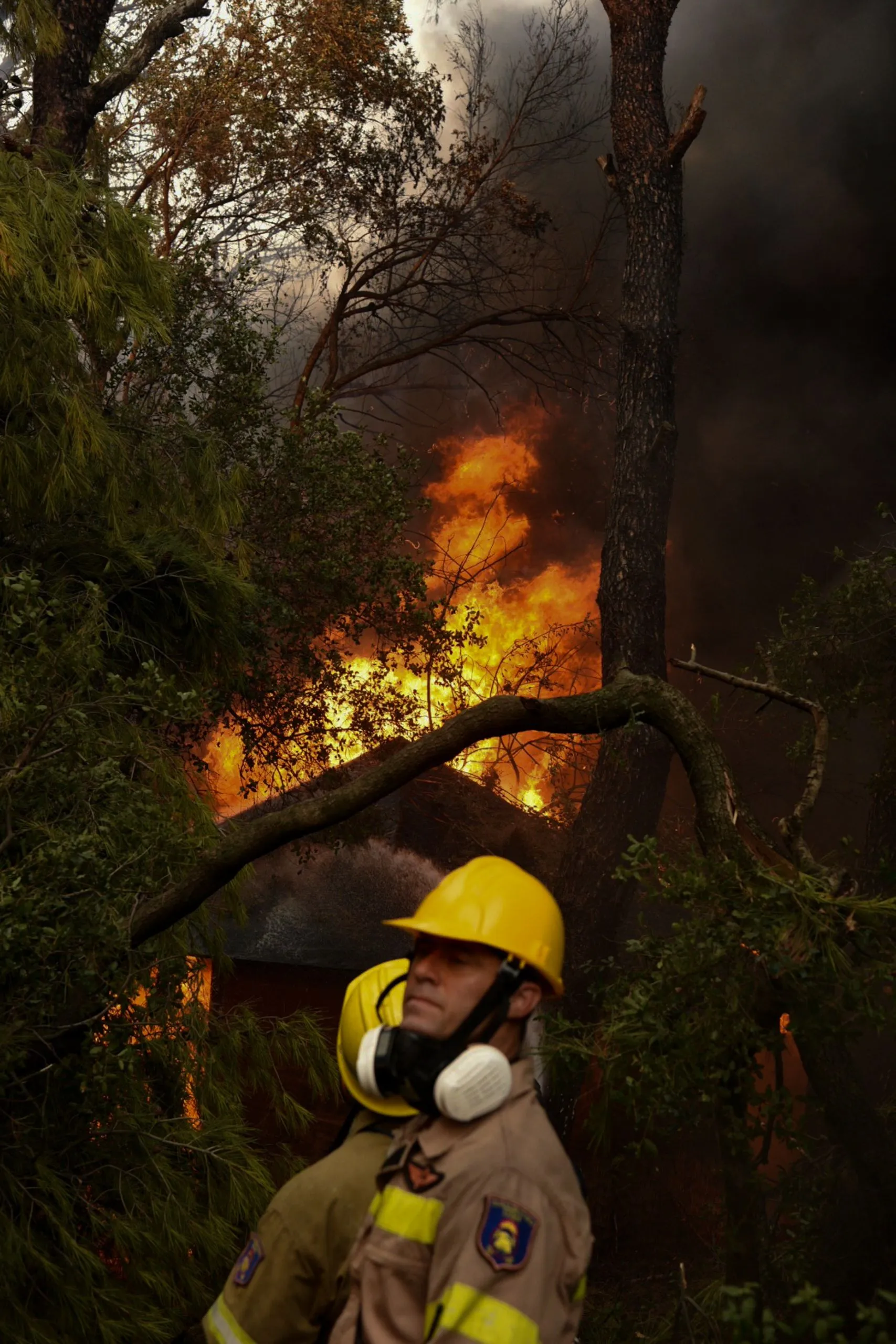 Ερντογάν για τις φωτιές στην Ελλάδα: Συμπαράσταση και ευχές για περαστικά