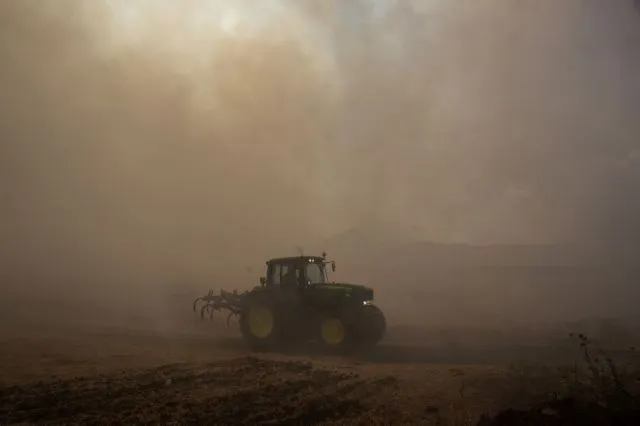 Τιθορέα: Κατέληξε ο μελισσοκόμος που προσπάθησε να σώσει τα μελίσσια του από τη φωτιά