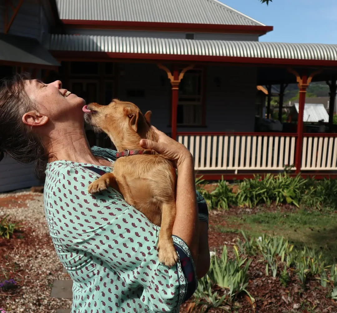 Ασφάλεια στην κοινότητα