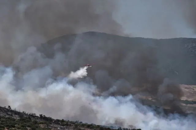 Τιθορέα: Κατέληξε ο μελισσοκόμος που προσπάθησε να σώσει τα μελίσσια του από τη φωτιά