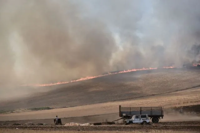 Τιθορέα: Κατέληξε ο μελισσοκόμος που προσπάθησε να σώσει τα μελίσσια του από τη φωτιά