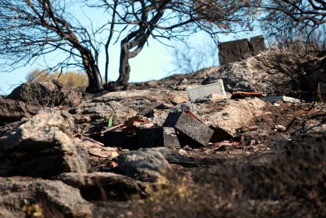 Τιθορέα: Κατέληξε ο μελισσοκόμος που προσπάθησε να σώσει τα μελίσσια του από τη φωτιά